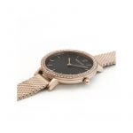 Reloj Pierre Lannier 023L938