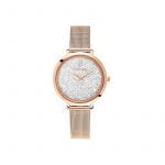 Reloj Pierre Lannier 105J908