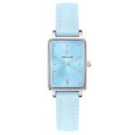 Reloj Pierre Lannier 049D666