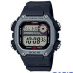 Reloj Casio DW-291H-1AV