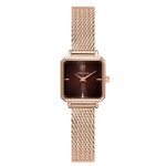 Reloj Pierre Lannier 168F788